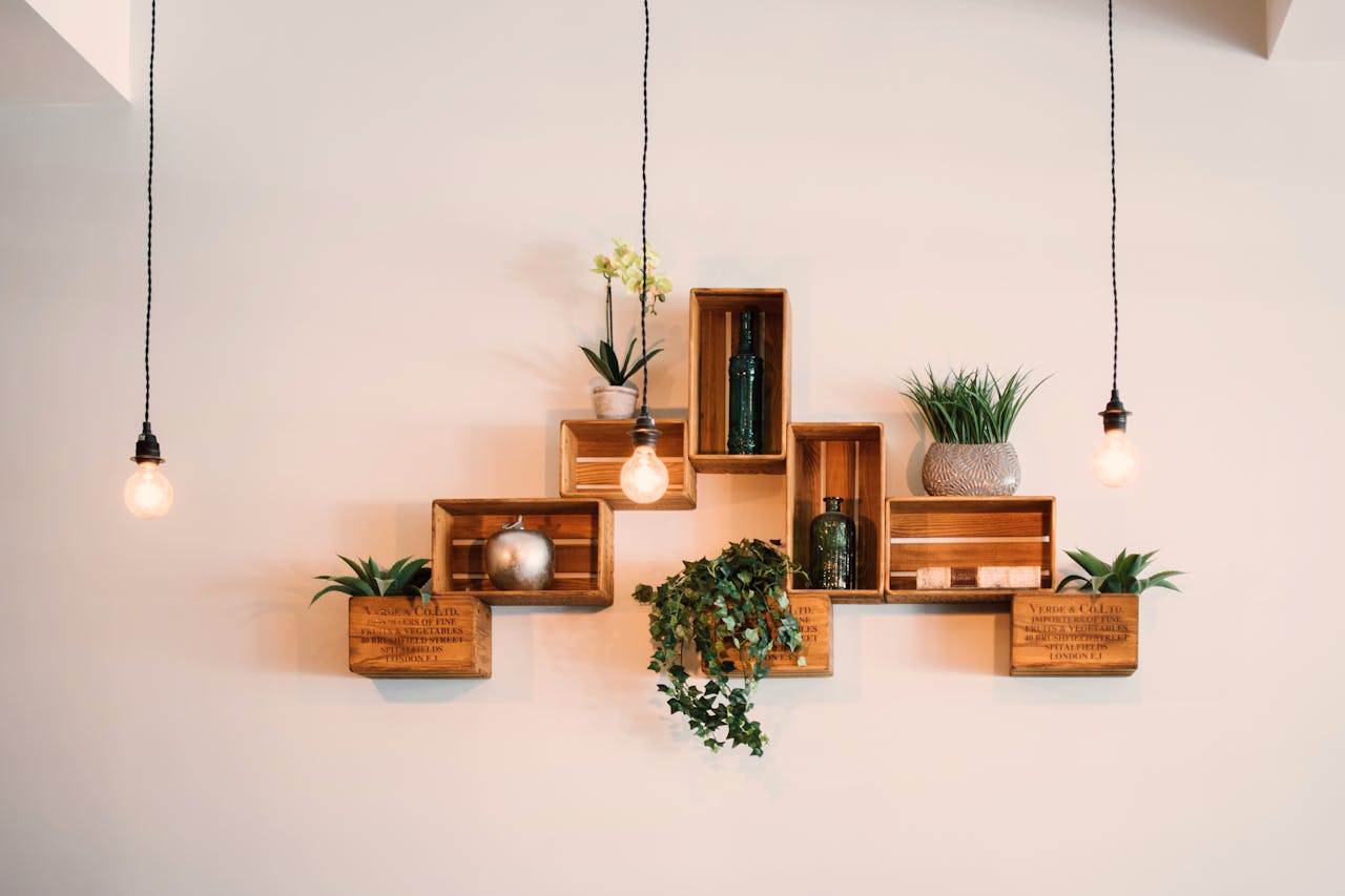 who-are-we-02 Contemporary wooden shelves with plants and decor, illuminated by hanging lights.